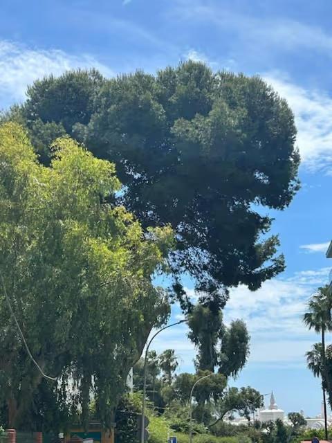 Aime Benalmadena Lägenhet Exteriör bild